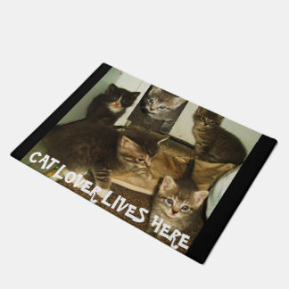 FELPUDO AMANTE DE LOS GATOS VIVE AQUÍ 
