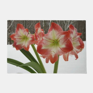 Felpudo Amaryllis en floral de invierno en la nieve roja f