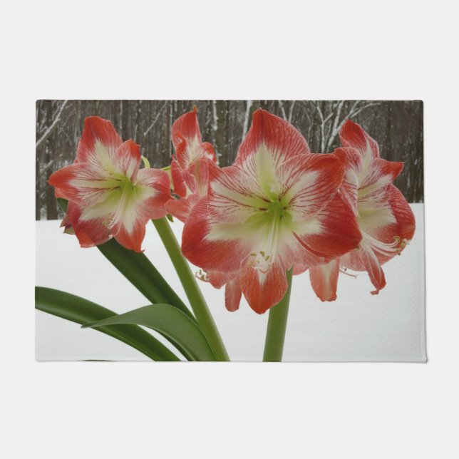 Felpudo Amaryllis en floral de invierno en la nieve roja f (Anverso)