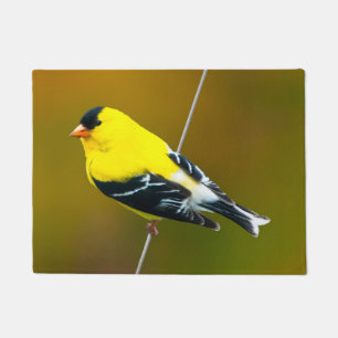 Felpudo American Goldfinch - Fotografía original