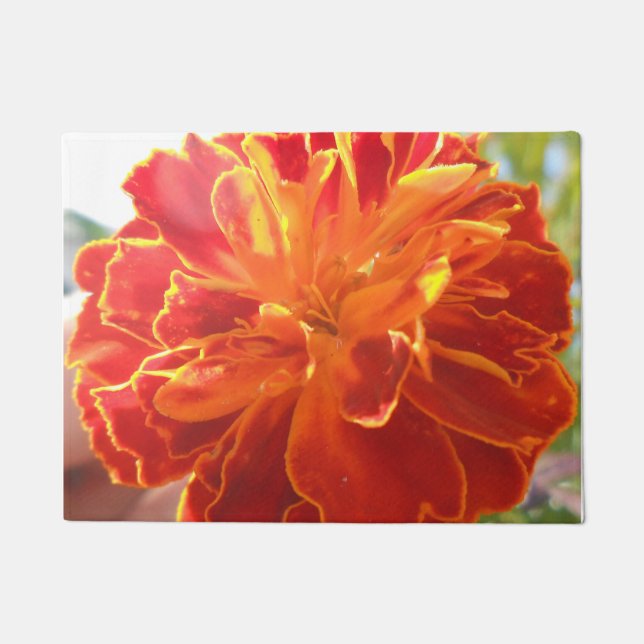 Felpudo Anastato (Anverso)