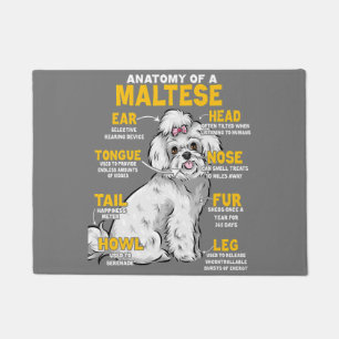 Felpudo anatomía de un amante del perro maltés