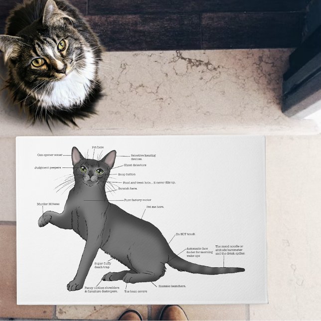 Felpudo Anatomía de un Gato (Subido por el creador)