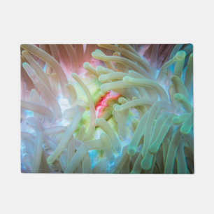 Felpudo Anémona de mar multicolora
