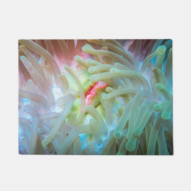 Felpudo Anémona de mar multicolora (Anverso)