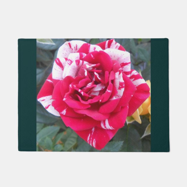 Felpudo Anicia (Anverso)