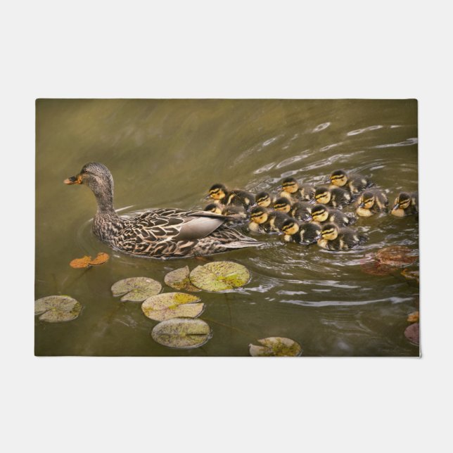 Felpudo Animal - Patos - Nadar como un pato (Anverso)