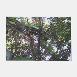 Felpudo Árbol de aguacates