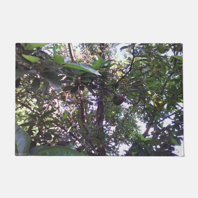 Felpudo Árbol de aguacates (Anverso)