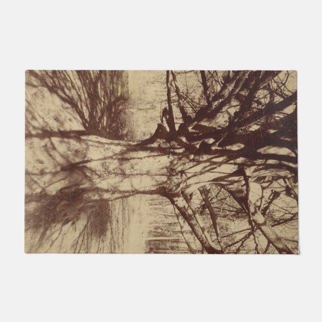 Felpudo Árbol de haya (por Eugène Atget) (Anverso)