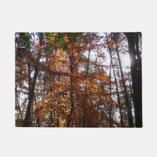 Felpudo Arbol de luz solar a través del otoño en Greenbelt