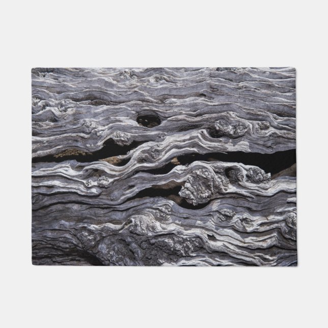 Felpudo Árbol de oliva silvestre| Gran Karoo, Sudáfrica (Anverso)