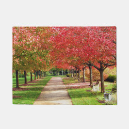 Felpudo Árboles de otoño a lo largo del camino Fotografía