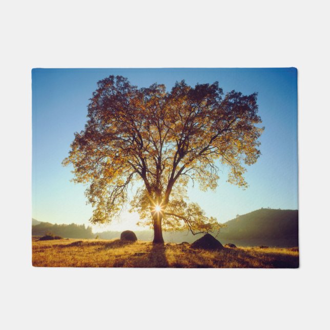 Felpudo Árboles de roble negro| Bosque Nacional Cleveland, (Anverso)
