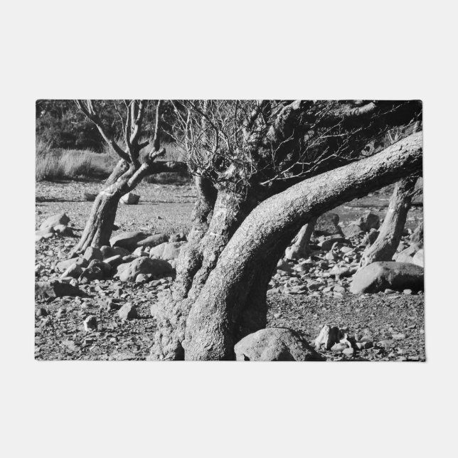 FELPUDO ÁRBOLES NEGROS Y BLANCOS (Anverso)