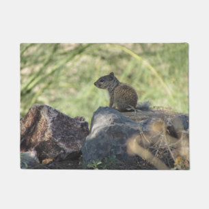Felpudo Ardilla de roca del bebé