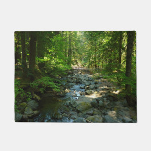 Felpudo Arroyo Laughingwater en el Parque Nacional Mount R