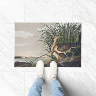 Felpudo Arte de ave de Audubon de Zarapito de Pico Largo V