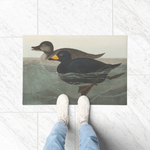 Felpudo Arte de pato Scoter americano vintage de Audubon