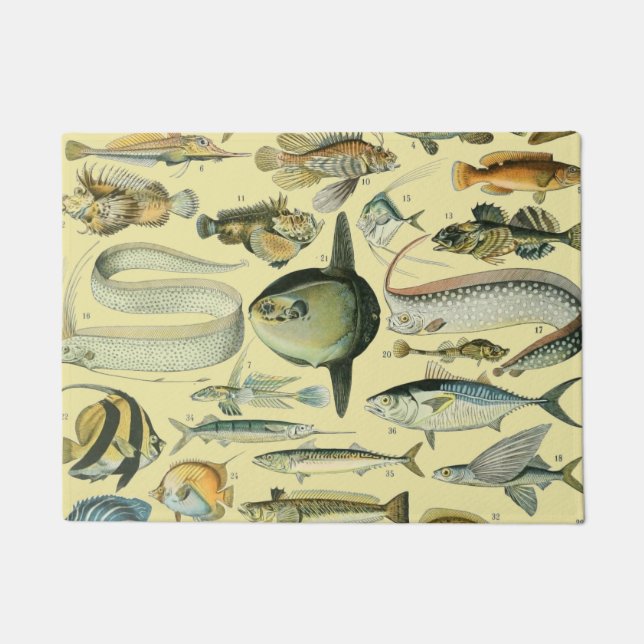 Felpudo Arte de pesca científica de peces de época (Anverso)