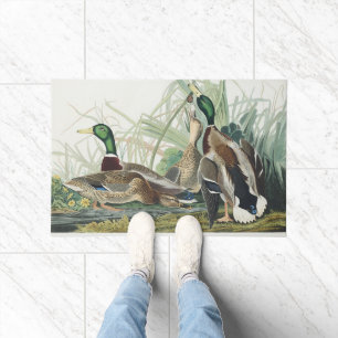 Felpudo Arte de vida silvestre del pato silbón de Audubon