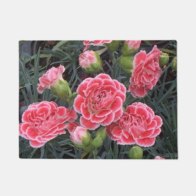 Felpudo Asombroso Dianthus (Anverso)