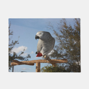 Felpudo Asombroso loro gris africano