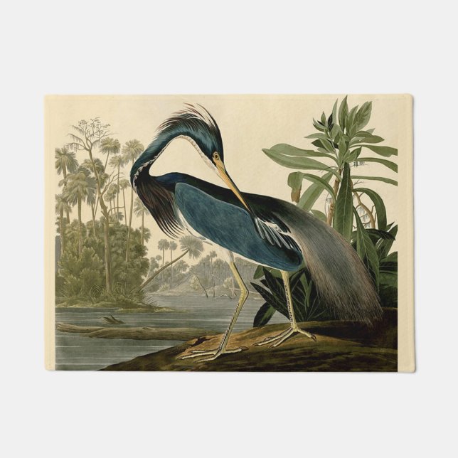 Felpudo Audubon Louisiana Heron Birds America Art (Anverso)