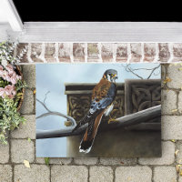 Ave del castillo Celtic Kestrel