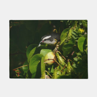 Felpudo Aves Bananaquit comiendo fotografía tropical
