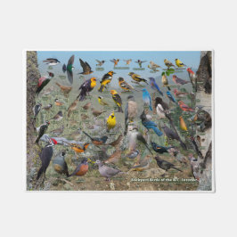 Felpudo Aves de corral del interior de BC