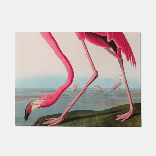 Felpudo Aves de flamenco norteamericanas impresas Audubon (Anverso)