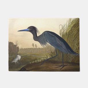 Felpudo Azules De Garra O Perón Aves De Estados Unidos Jo