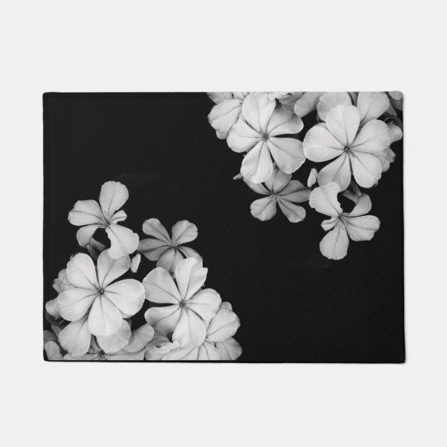 Felpudo b&w postcard (Anverso)