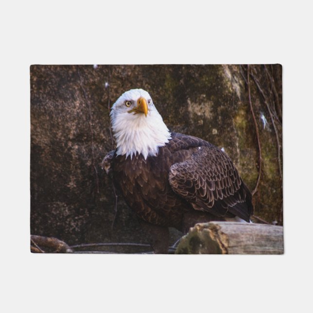Felpudo Bald Eagle (Anverso)