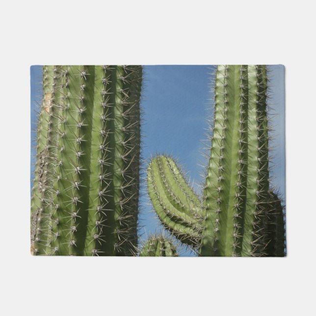 Felpudo Barrel Cactus I Desert Photo (Anverso)