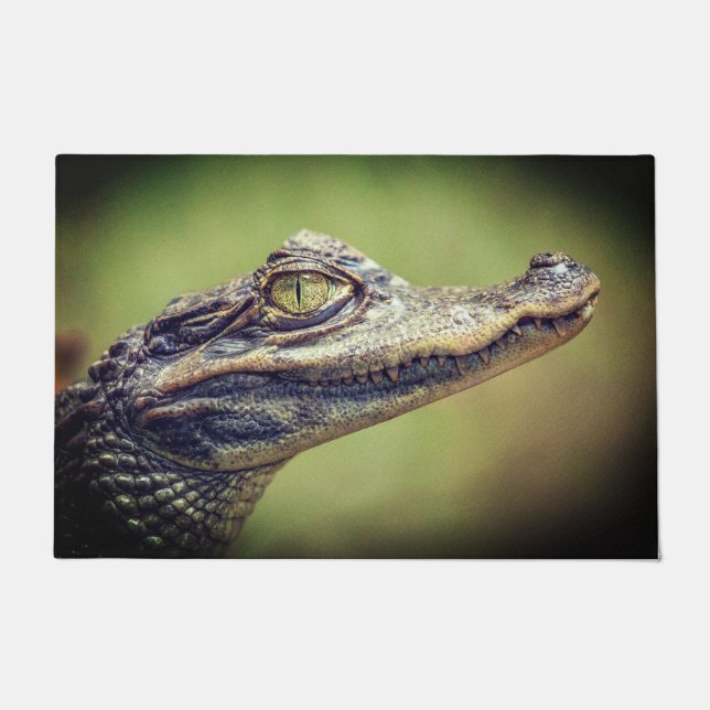 Felpudo Bebé cocodrilo (Anverso)