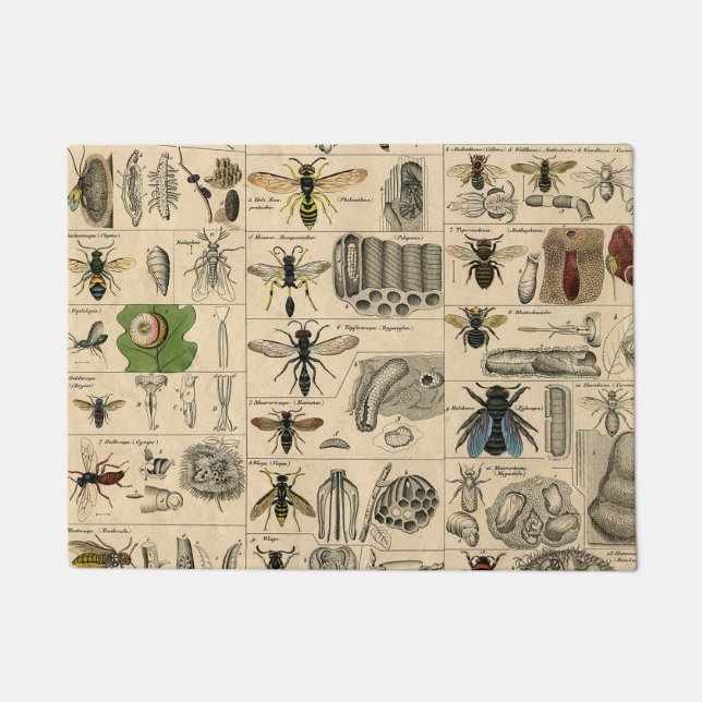 Felpudo Bee Insect Bug Wasp Abejas de Historia Natural (Anverso)