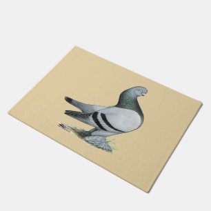 Felpudo Berliner Tumbler Pigeon Blue Bar