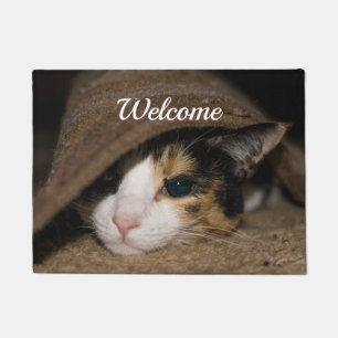 Felpudo Bienvenida Calico Taco Doormat