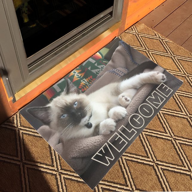 Felpudo Bienvenidos Adorable Blue Eyed Siamese Kitten (Subido por el creador)