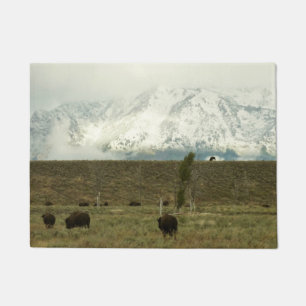 Felpudo Bison en la fotografía del parque nacional del Gra