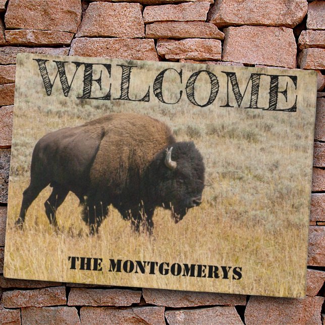 Felpudo Bison Grazs Americano En Meadow Grass Photo Person (door mat on brick)