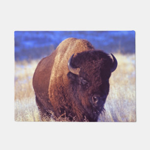 Felpudo Bisonte americano - búfalo