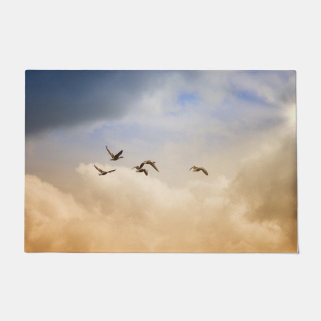 Felpudo Bloqueo de aves en vuelo (Anverso)