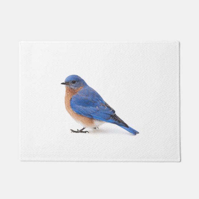 Felpudo Bluebird (Anverso)