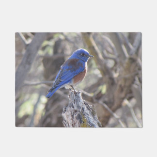 Felpudo Bluebird occidental