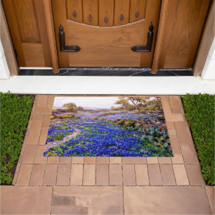 Felpudo Bluebonnets al crepúsculo al norte de San Antonio,