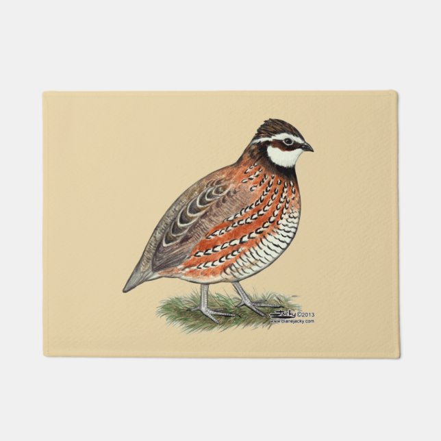 Felpudo Bobwhite Quail Rooster (Anverso)