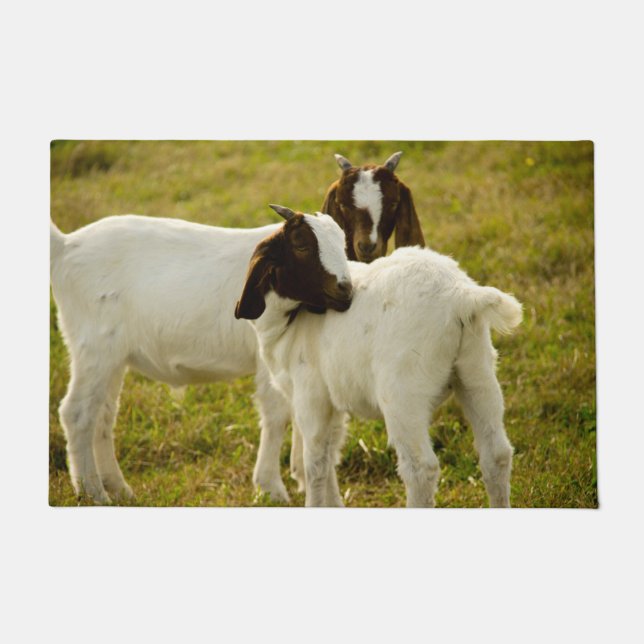 Felpudo Boer Goats Cute Field (Anverso)